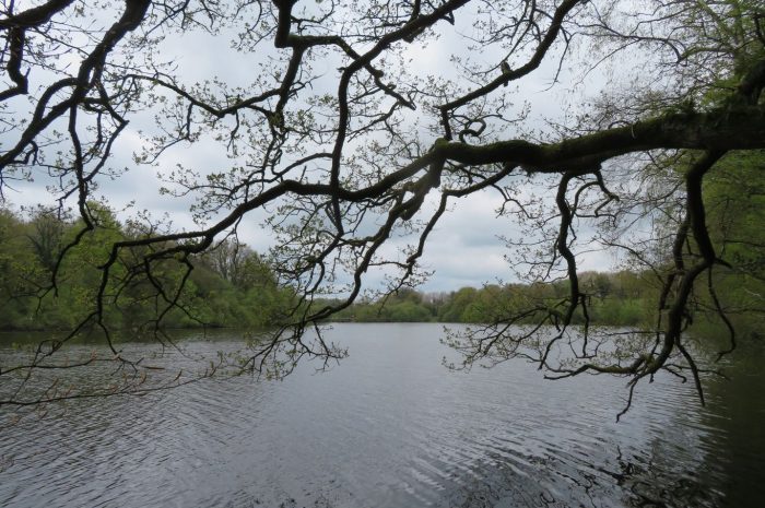 Le lac de Glomel